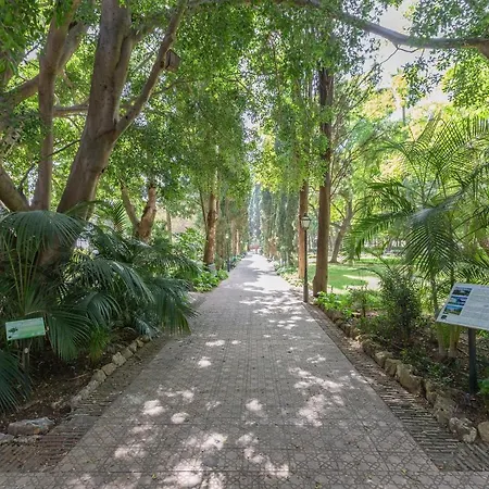 Apartamento En 1ª Linea De Playa Marbella
